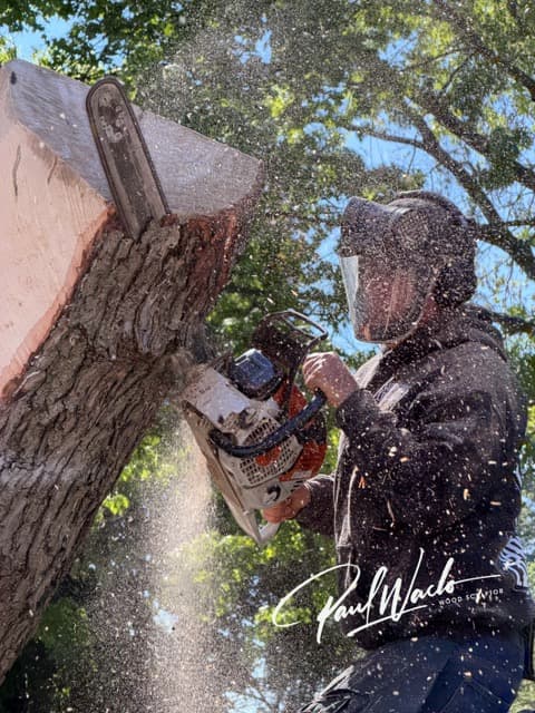 Artist Paul Waclo carving a bear from a storm-damaged oak stump at Lafayette-Pointer Park, June 2026