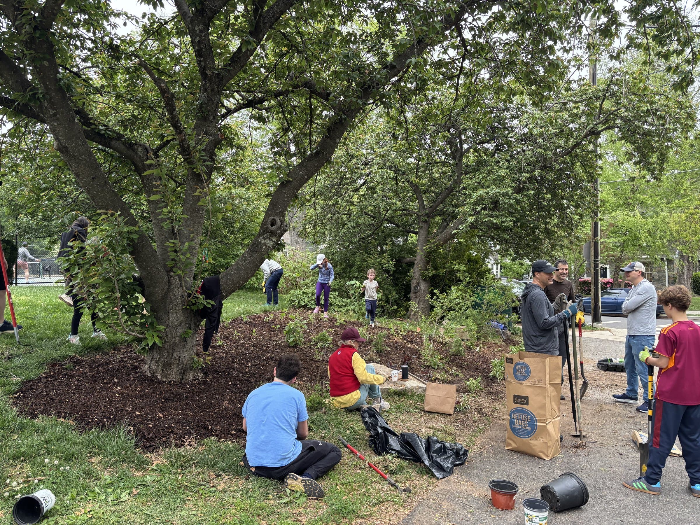 A large group of neighbors working together under the cherry trees during the spring cleanup