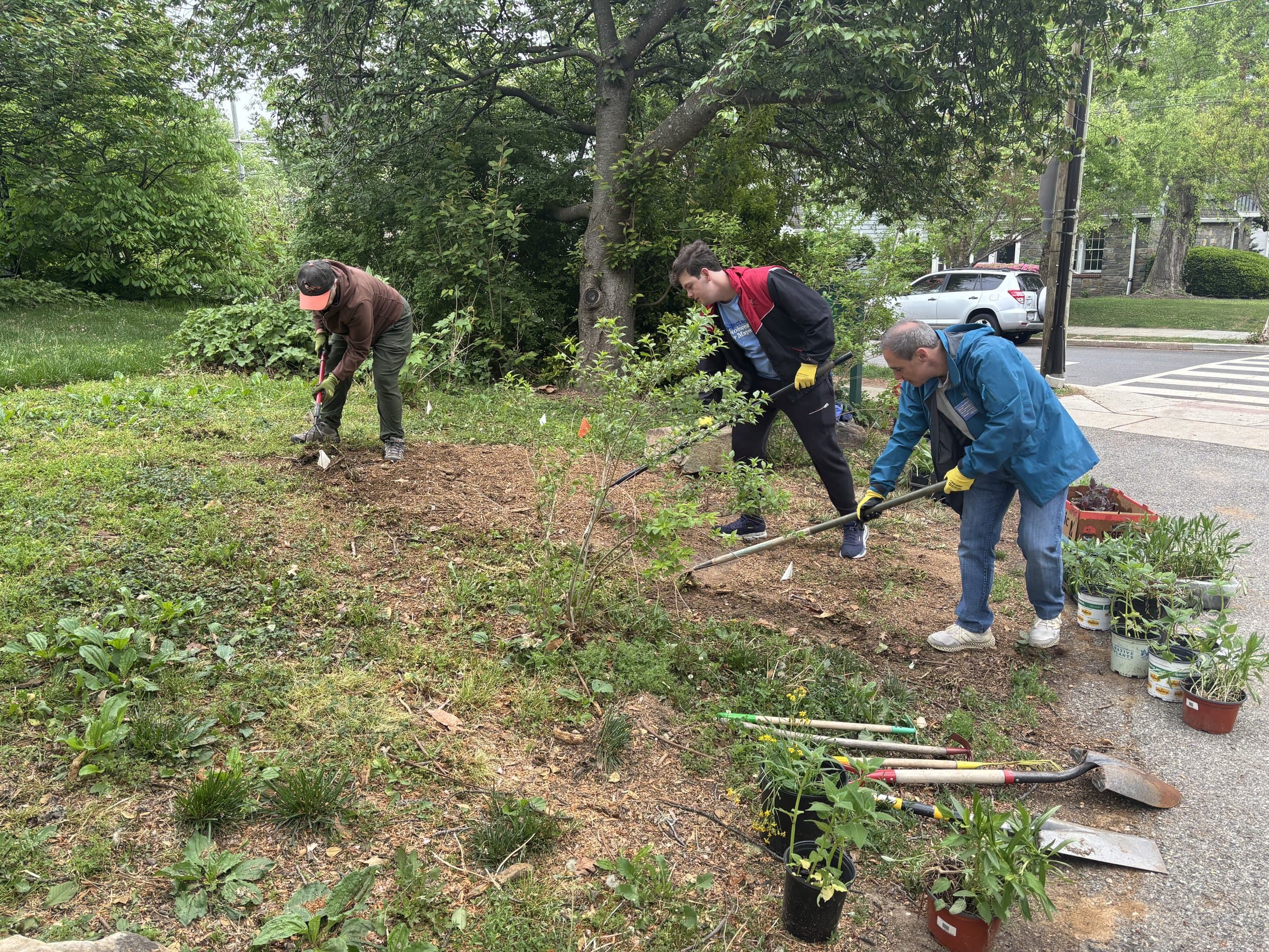 Volunteers digging and planting along a roadside bed during the spring cleanup