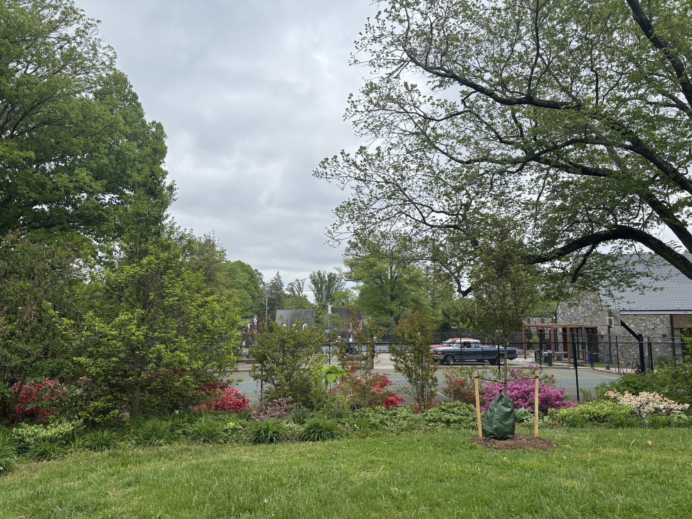 A wide view of Lafayette-Pointer Park with the tennis courts, Recreation Center, and azaleas in bloom